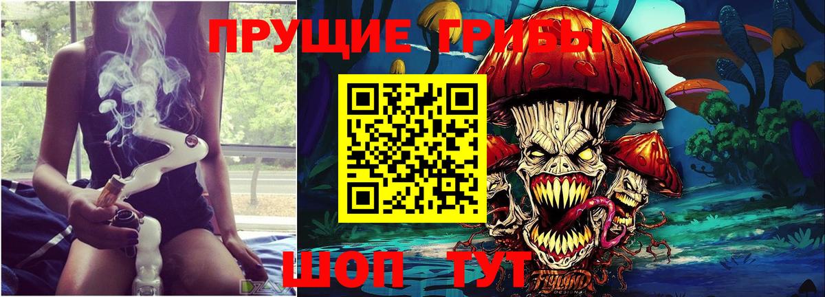Галлюциногенные грибы Psilocybe  Вход с VPN  Псилоцибиновые грибы мухоморы  Канаш 
